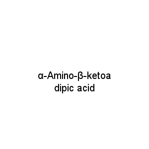 α-Amino-β-ketoadipic acid